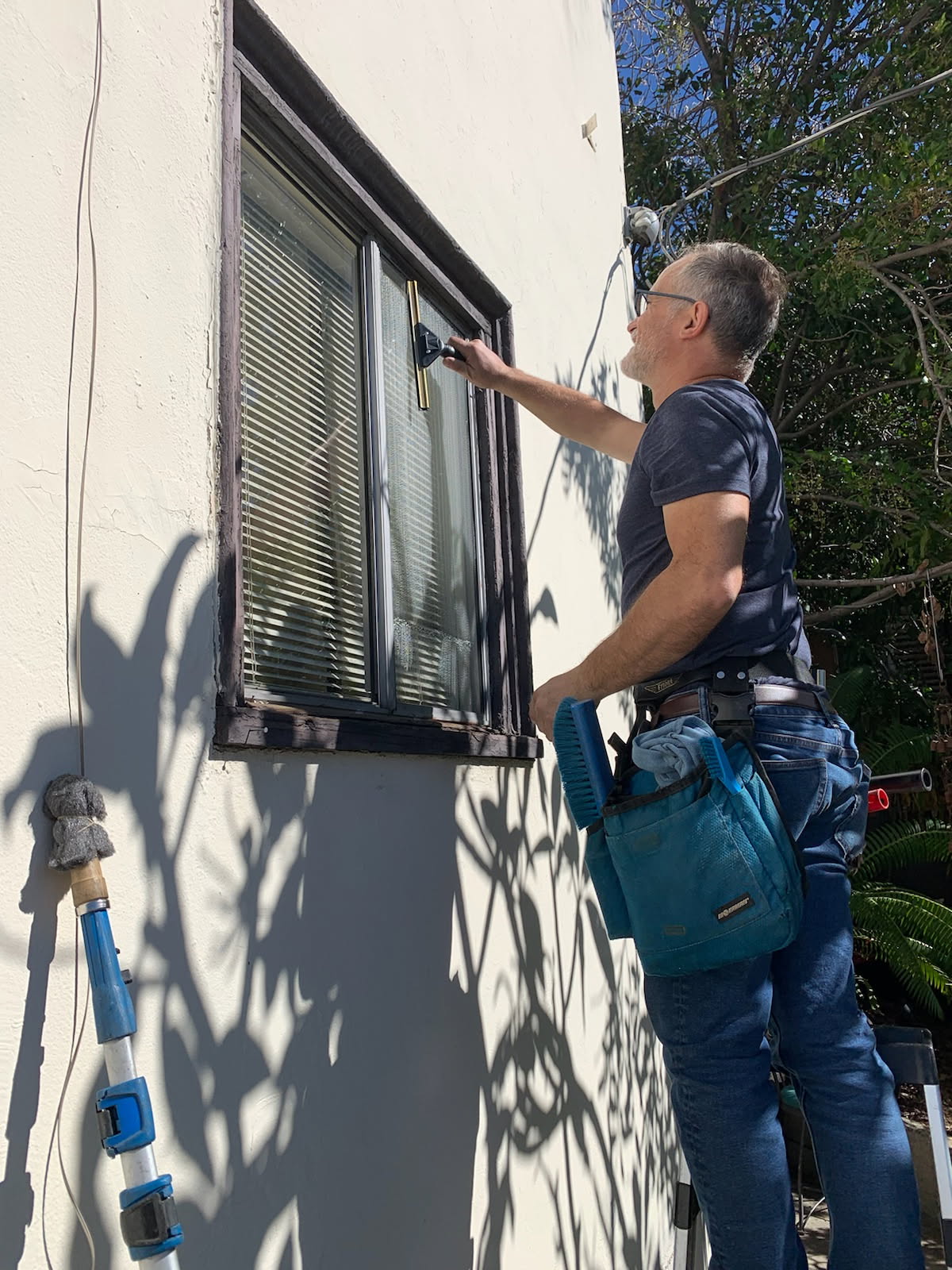 window cleaning house bushes