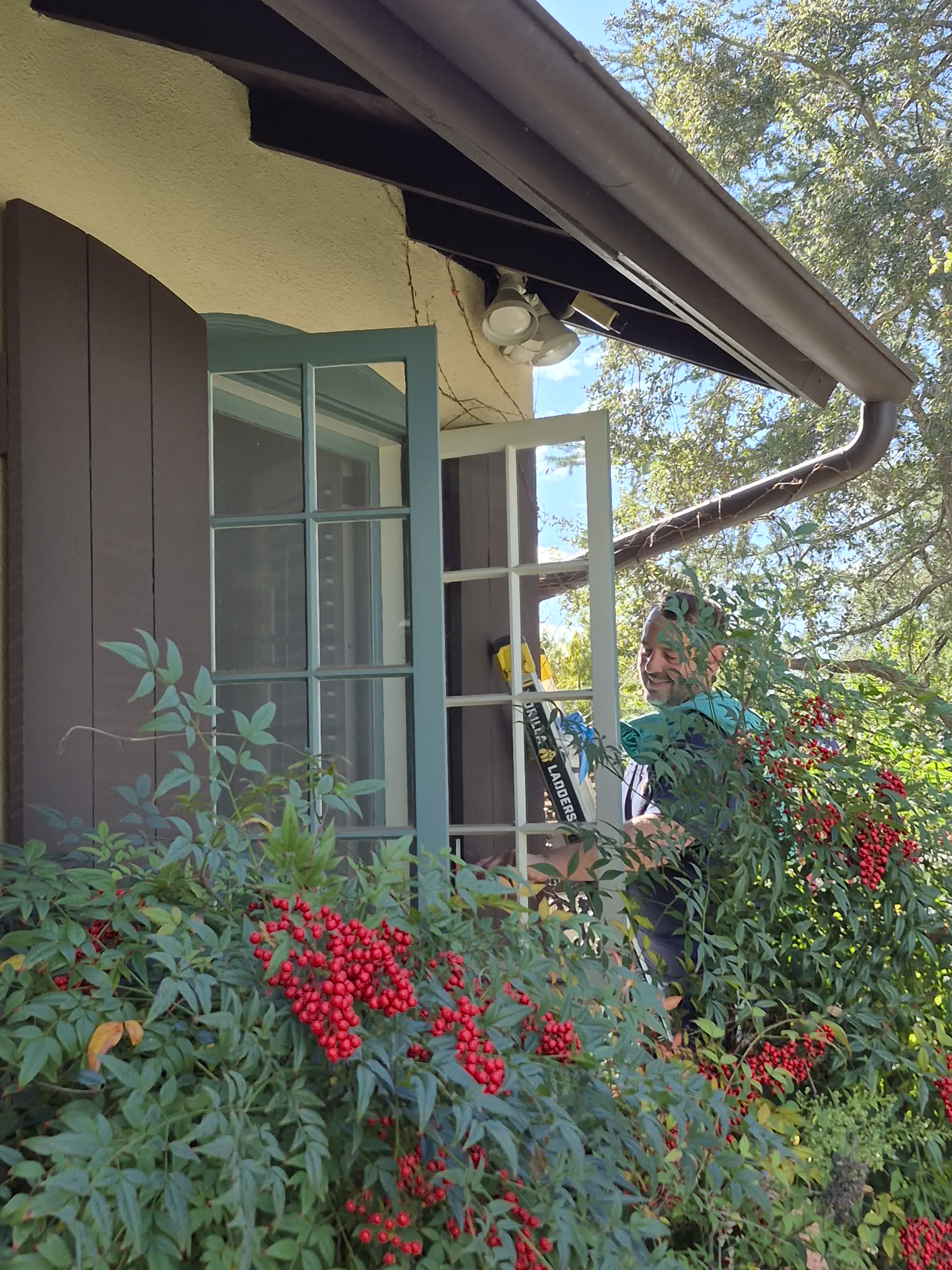 window cleaning house bushes